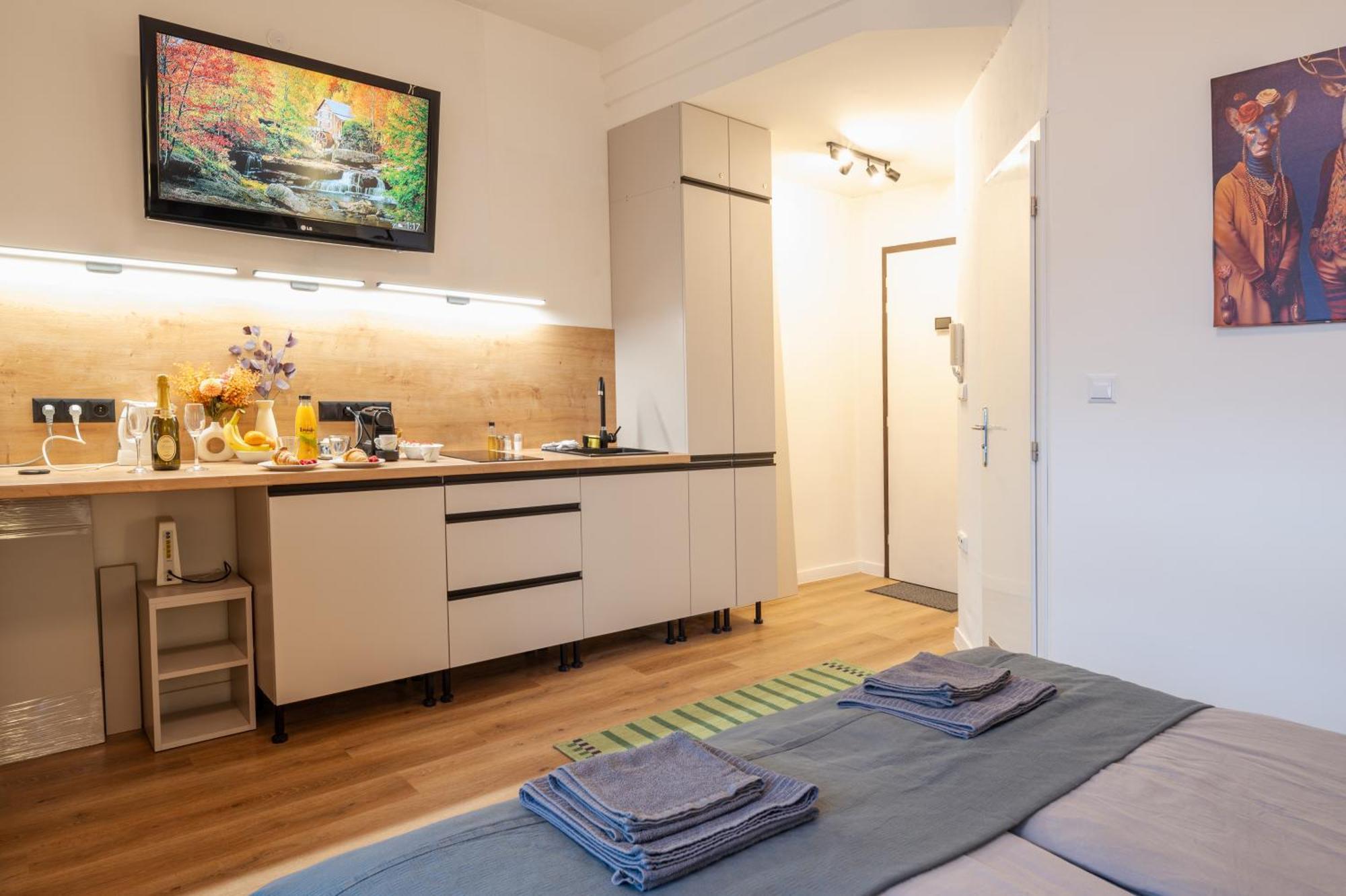 Modern Apartment In Historic City Center Old Town 布拉迪斯拉发 外观 照片